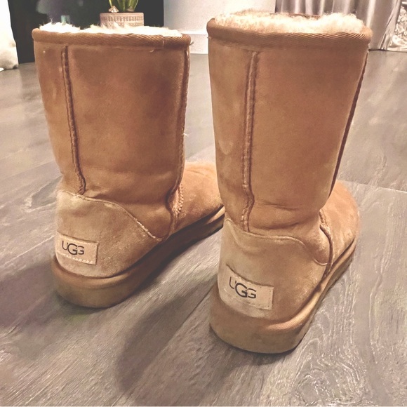 Chestnut UGGS size 7 - Picture 4 of 5